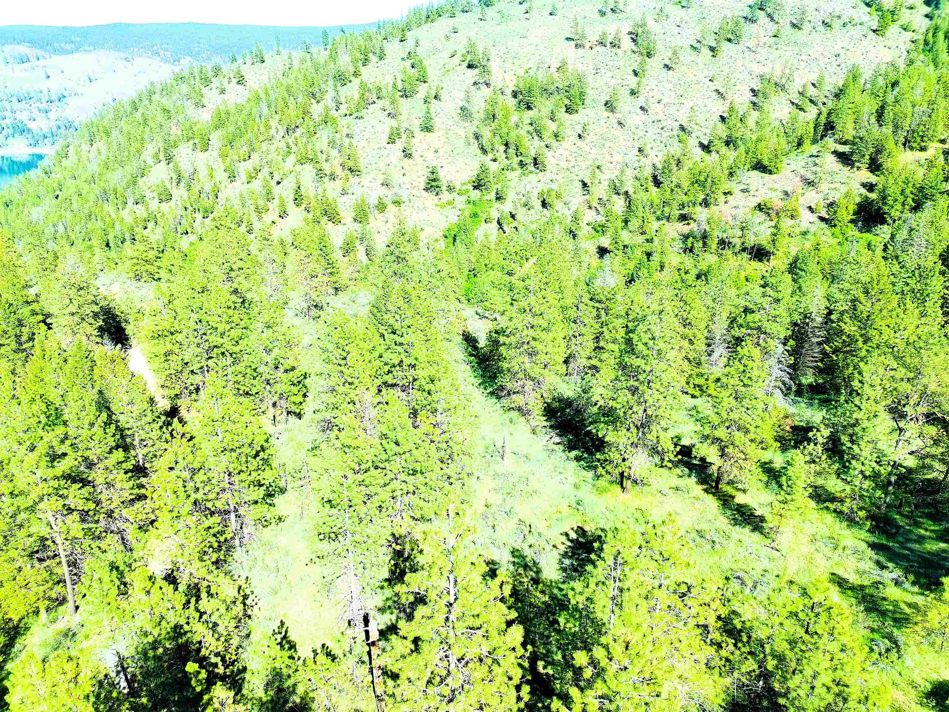 Xx00 Timber Bay Drive East, Unit XX00 TIMBER BAY DR E Davenport, WA 99122 - Photo 13 of 20