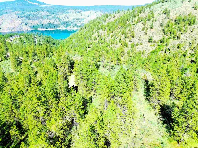 $199,000 | Xx00 Timber Bay Drive East, Unit XX00 TIMBER BAY DR E, Davenport, WA 99122