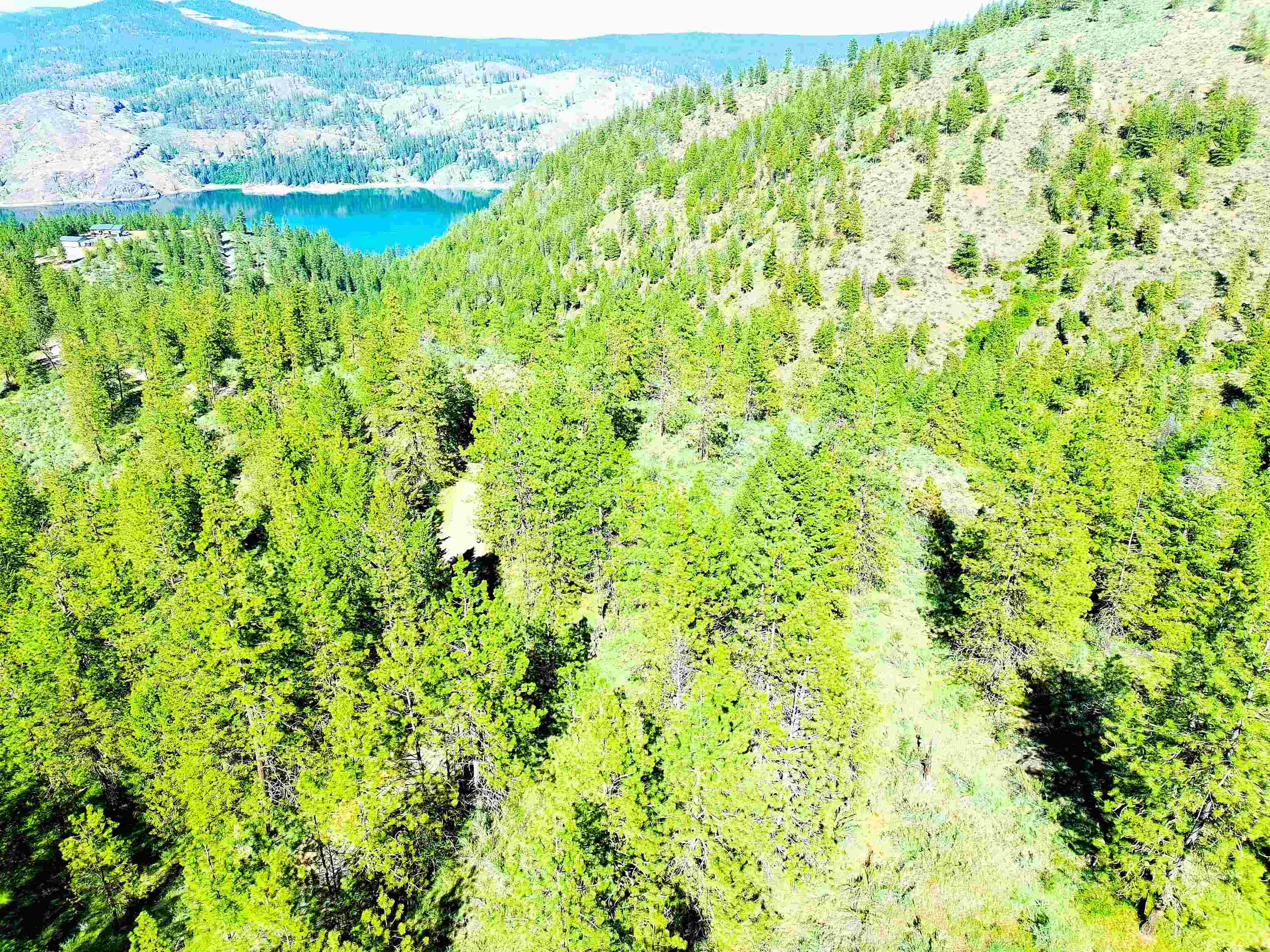 Xx00 Timber Bay Drive East, Unit XX00 TIMBER BAY DR E Davenport, WA 99122 - Photo 14 of 20