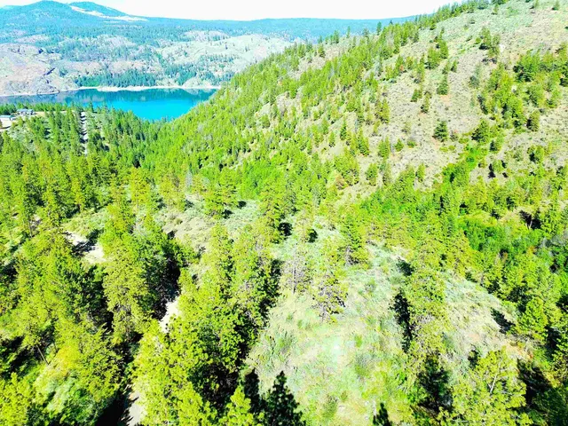 $199,000 | Xx00 Timber Bay Drive East, Unit XX00 TIMBER BAY DR E, Davenport, WA 99122