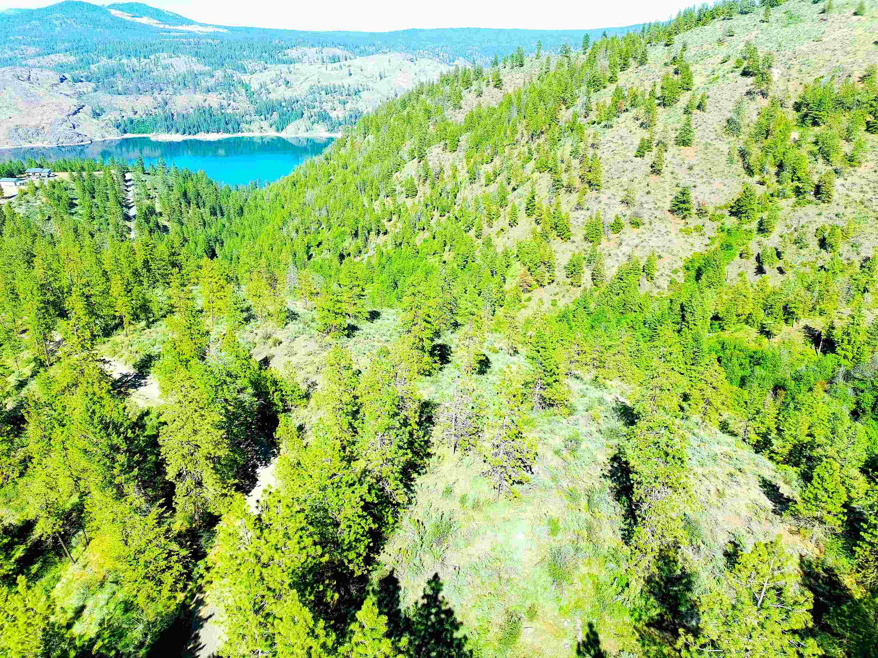 Xx00 Timber Bay Drive East, Unit XX00 TIMBER BAY DR E Davenport, WA 99122 - Photo 15 of 20