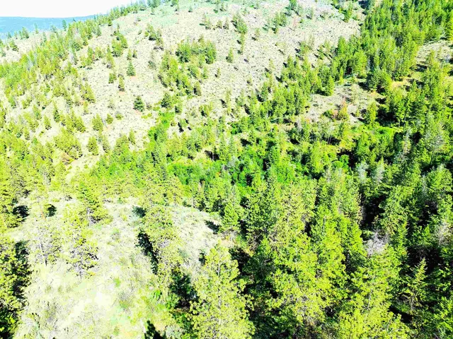 $199,000 | Xx00 Timber Bay Drive East, Unit XX00 TIMBER BAY DR E, Davenport, WA 99122