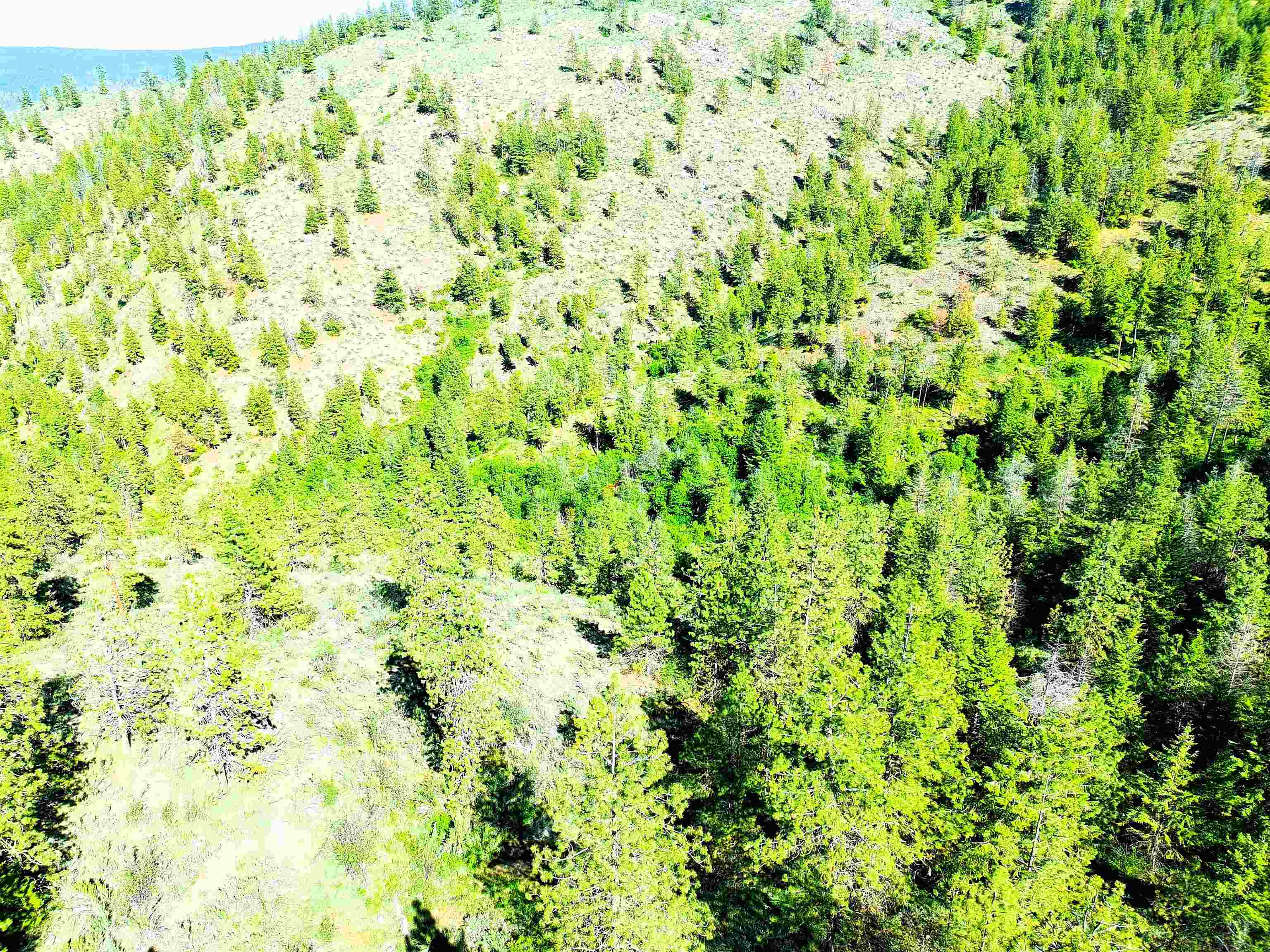 Xx00 Timber Bay Drive East, Unit XX00 TIMBER BAY DR E Davenport, WA 99122 - Photo 16 of 20