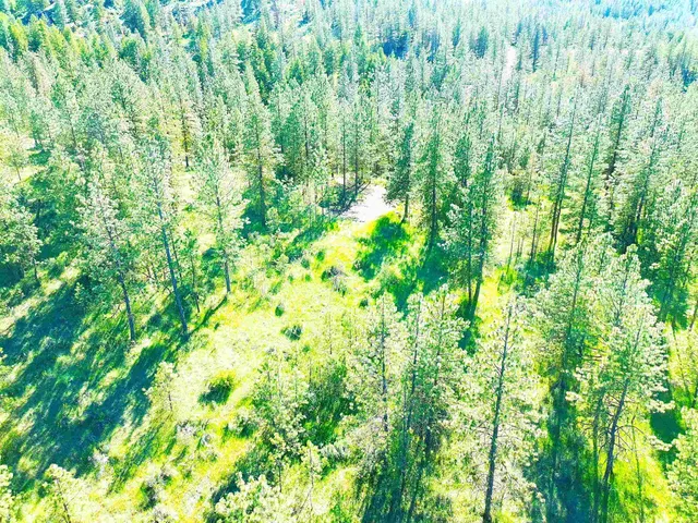 $199,000 | Xx00 Timber Bay Drive East, Unit XX00 TIMBER BAY DR E, Davenport, WA 99122