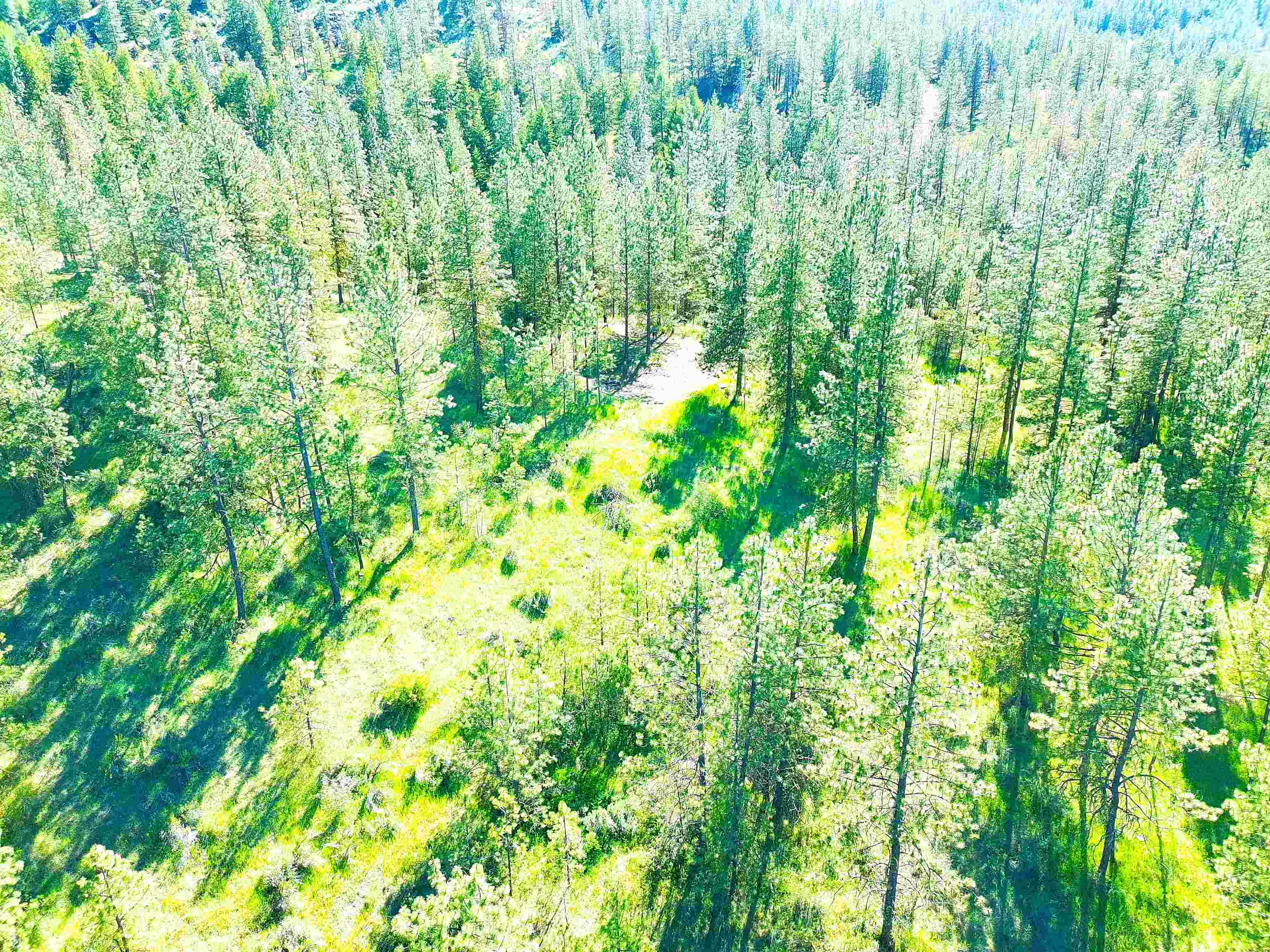 Xx00 Timber Bay Drive East, Unit XX00 TIMBER BAY DR E Davenport, WA 99122 - Photo 17 of 20