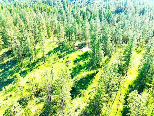 $150,000 | Xx00 Timber Bay Drive East, Unit LOT 55 TIMBER BAY DR E, Davenport, WA 99122