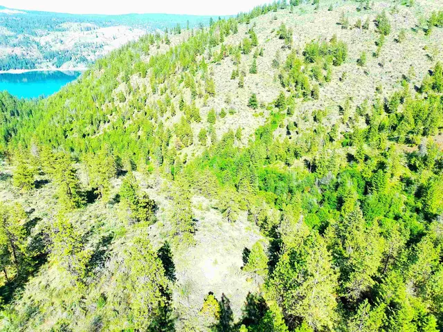 $199,000 | Xx00 Timber Bay Drive East, Unit XX00 TIMBER BAY DR E, Davenport, WA 99122