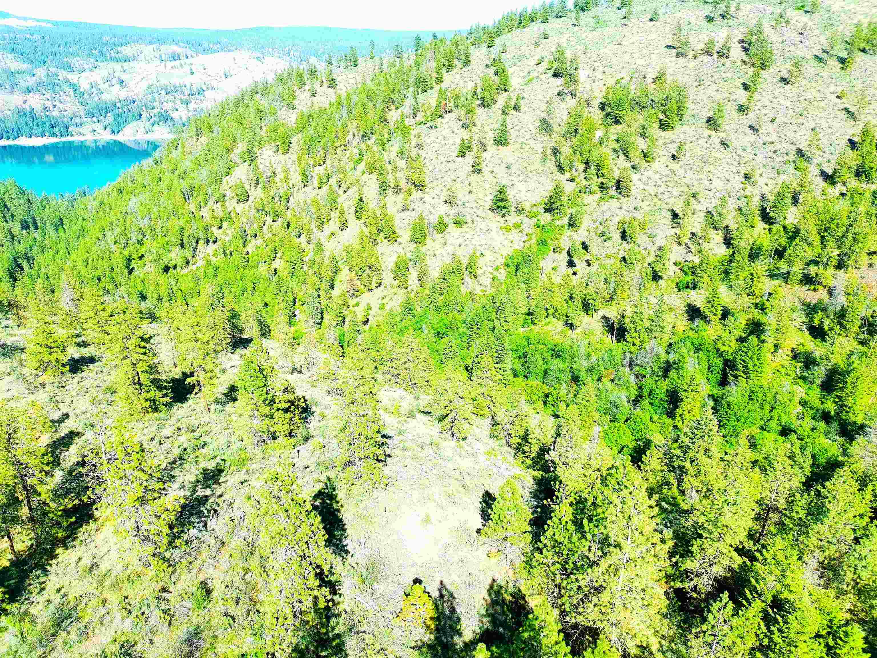 Xx00 Timber Bay Drive East, Unit XX00 TIMBER BAY DR E Davenport, WA 99122 - Photo 19 of 20