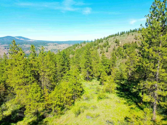 $199,000 | Xx00 Timber Bay Drive East, Unit XX00 TIMBER BAY DR E, Davenport, WA 99122