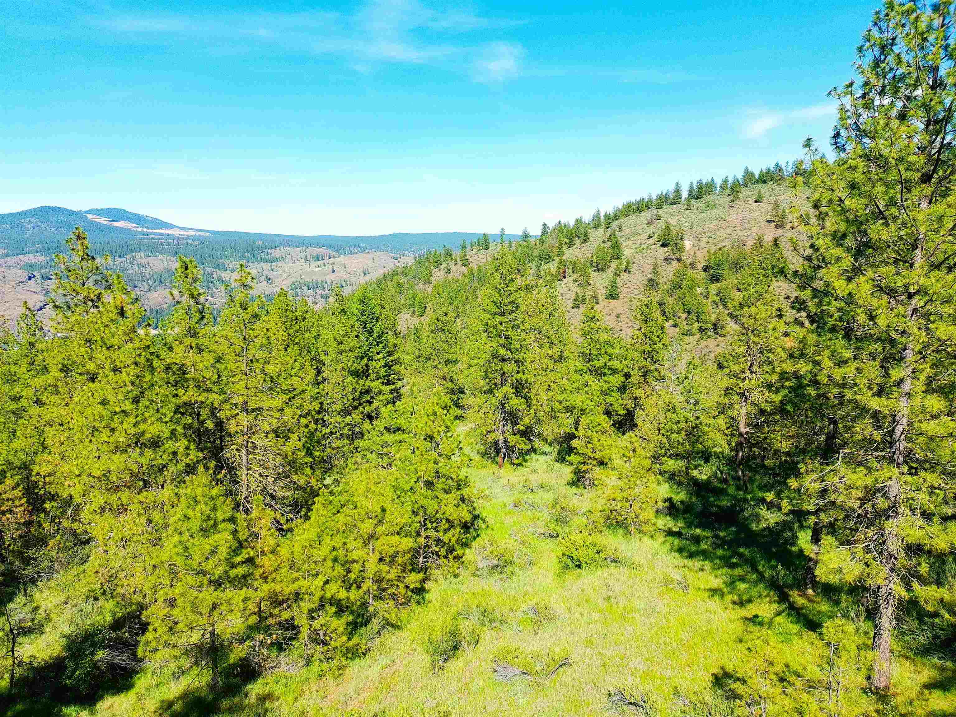 Xx00 Timber Bay Drive East, Unit XX00 TIMBER BAY DR E Davenport, WA 99122 - Photo 2 of 20