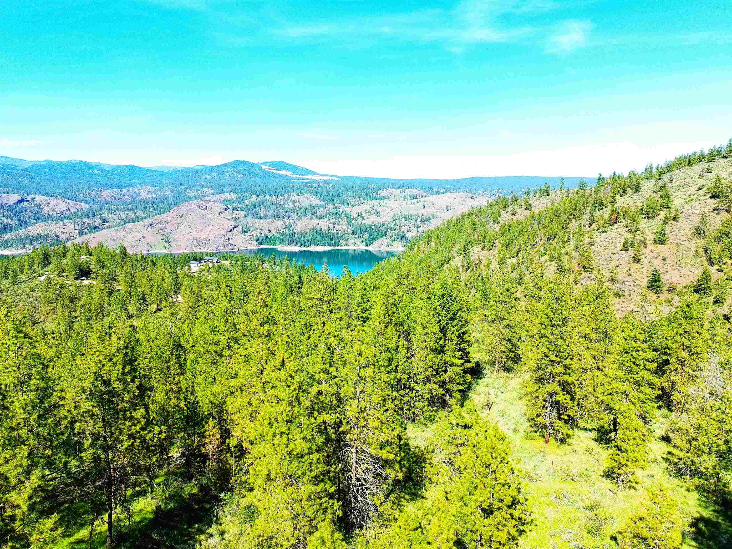 Xx00 Timber Bay Drive East, Unit XX00 TIMBER BAY DR E Davenport, WA 99122 - Photo 3 of 20