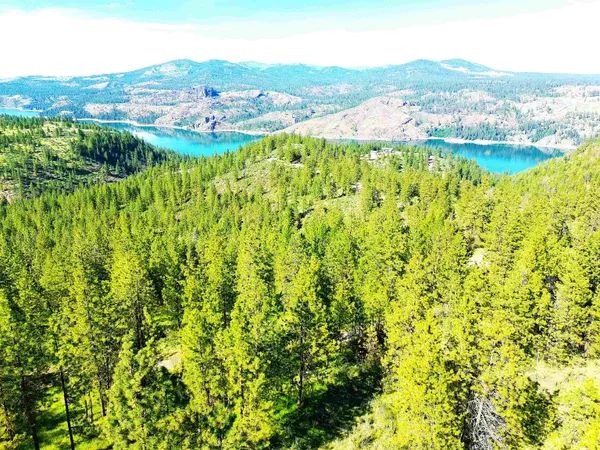 $150,000 | Xx00 Timber Bay Drive East, Unit LOT 55 TIMBER BAY DR E, Davenport, WA 99122