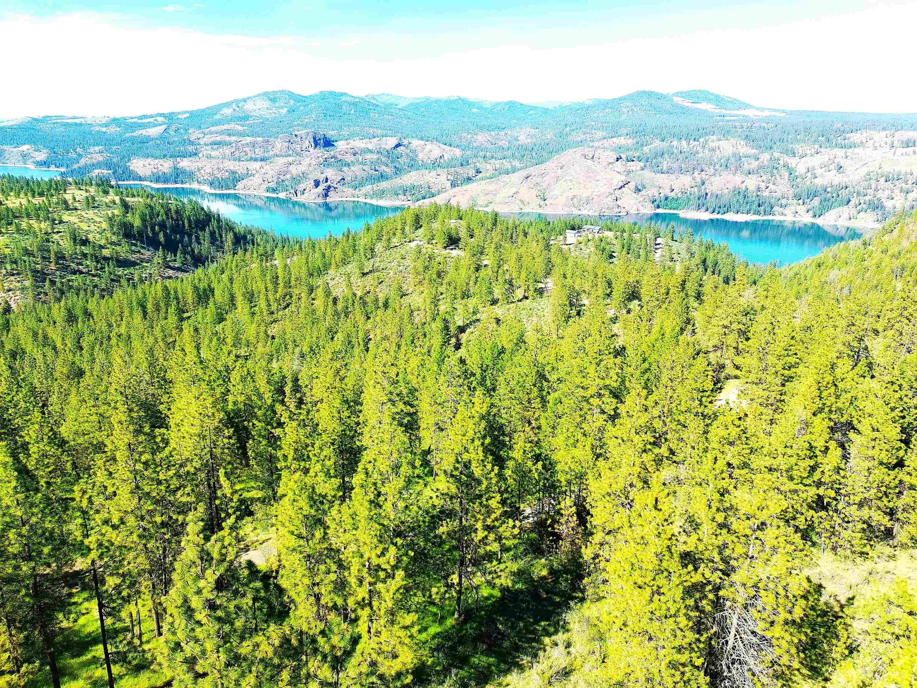 Xx00 Timber Bay Drive East, Unit XX00 TIMBER BAY DR E Davenport, WA 99122 - Photo 5 of 20