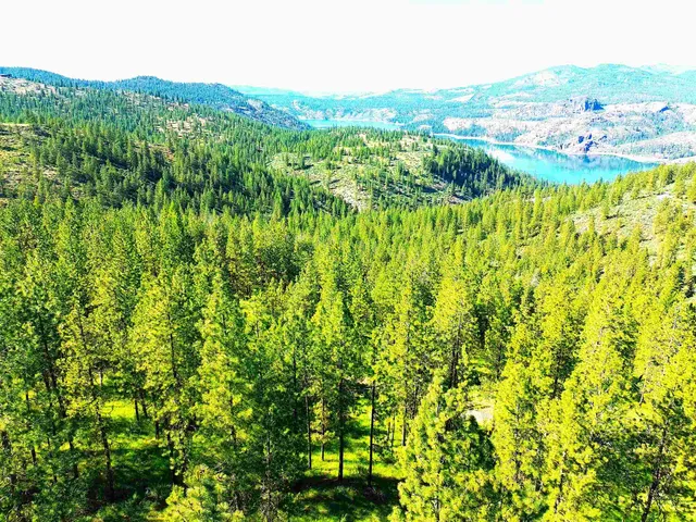 $199,000 | Xx00 Timber Bay Drive East, Unit XX00 TIMBER BAY DR E, Davenport, WA 99122