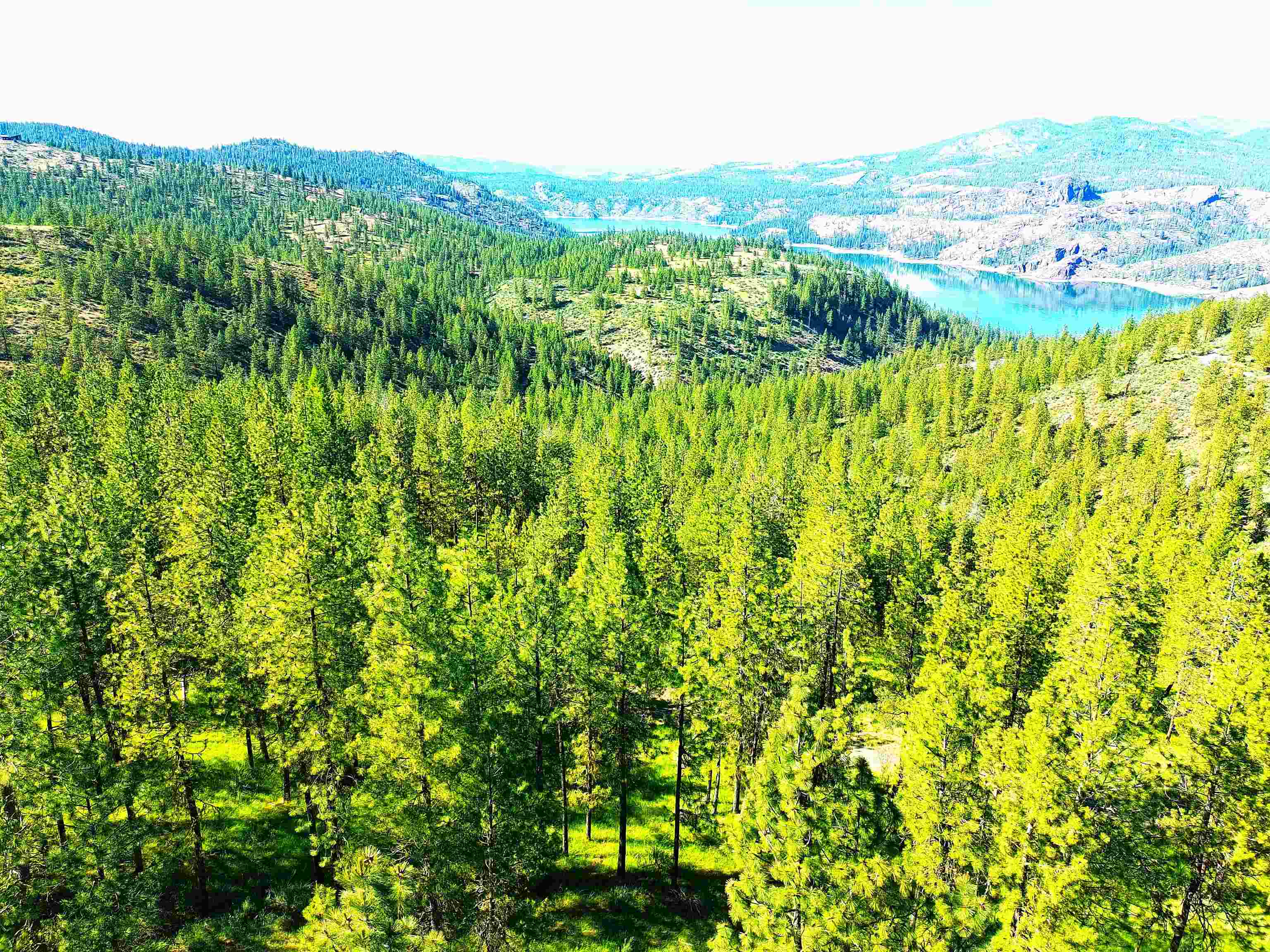 Xx00 Timber Bay Drive East, Unit XX00 TIMBER BAY DR E Davenport, WA 99122 - Photo 6 of 20