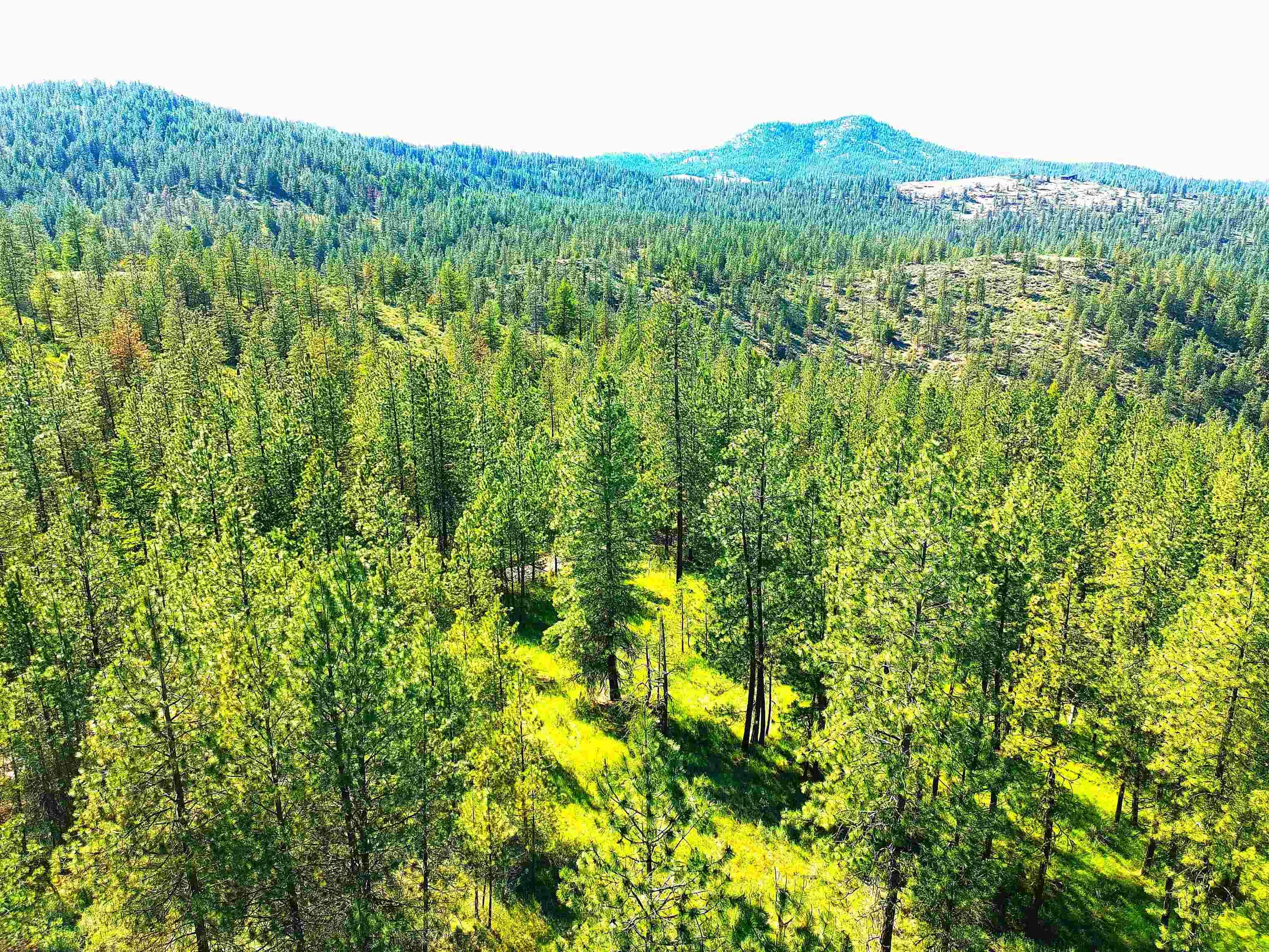 Xx00 Timber Bay Drive East, Unit XX00 TIMBER BAY DR E Davenport, WA 99122 - Photo 7 of 20