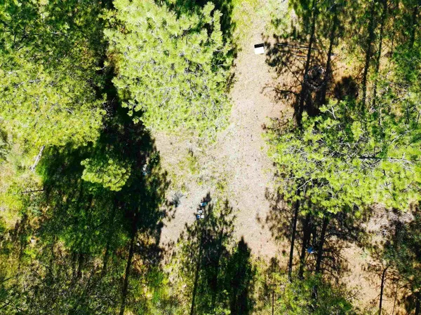 $150,000 | Xx00 Timber Bay Drive East, Unit LOT 55 TIMBER BAY DR E, Davenport, WA 99122
