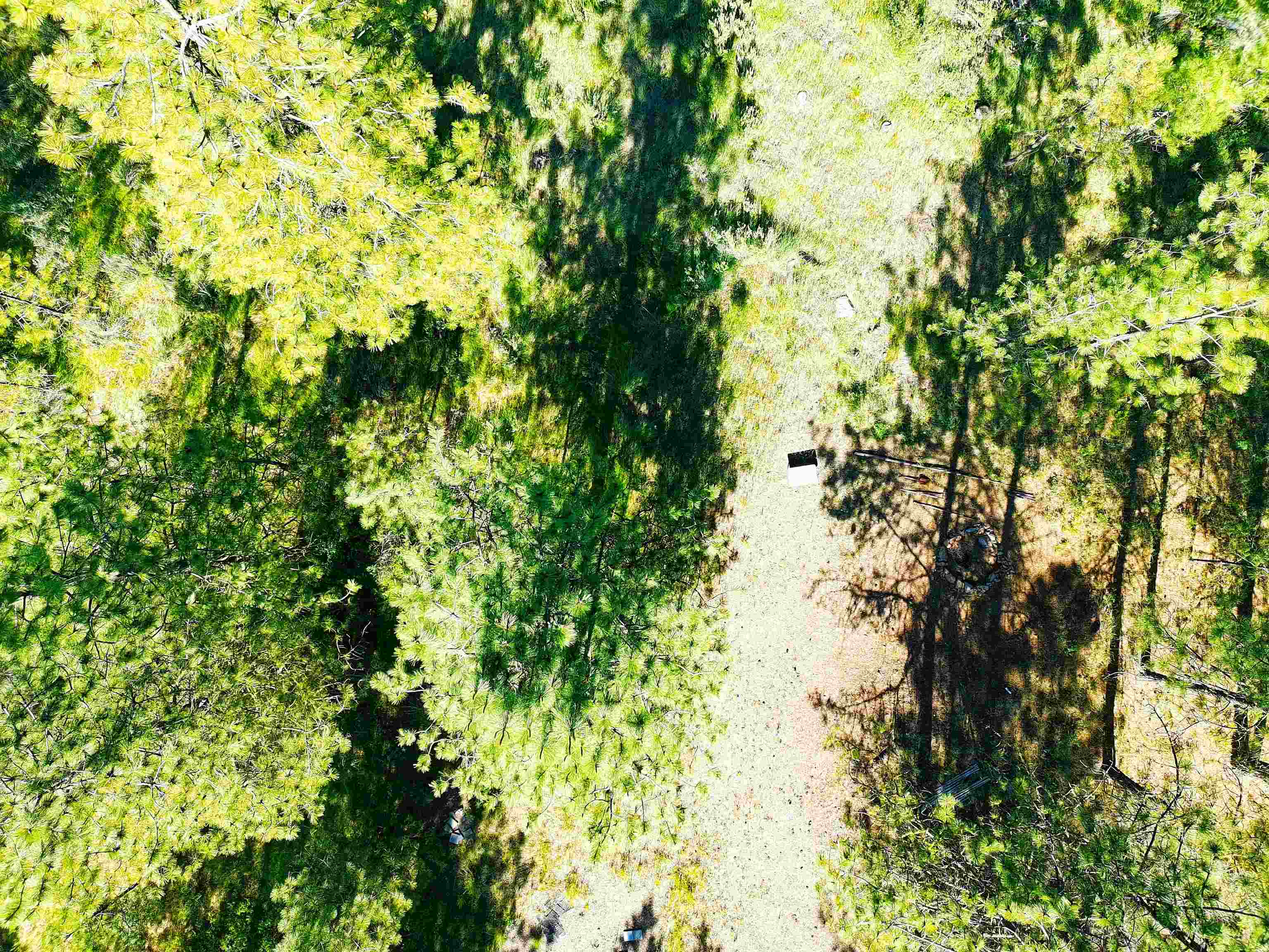 Xx00 Timber Bay Drive East, Unit XX00 TIMBER BAY DR E Davenport, WA 99122 - Photo 9 of 20