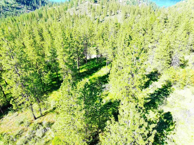 $199,000 | Xx00 Timber Bay Drive East, Unit XX00 TIMBER BAY DR E, Davenport, WA 99122