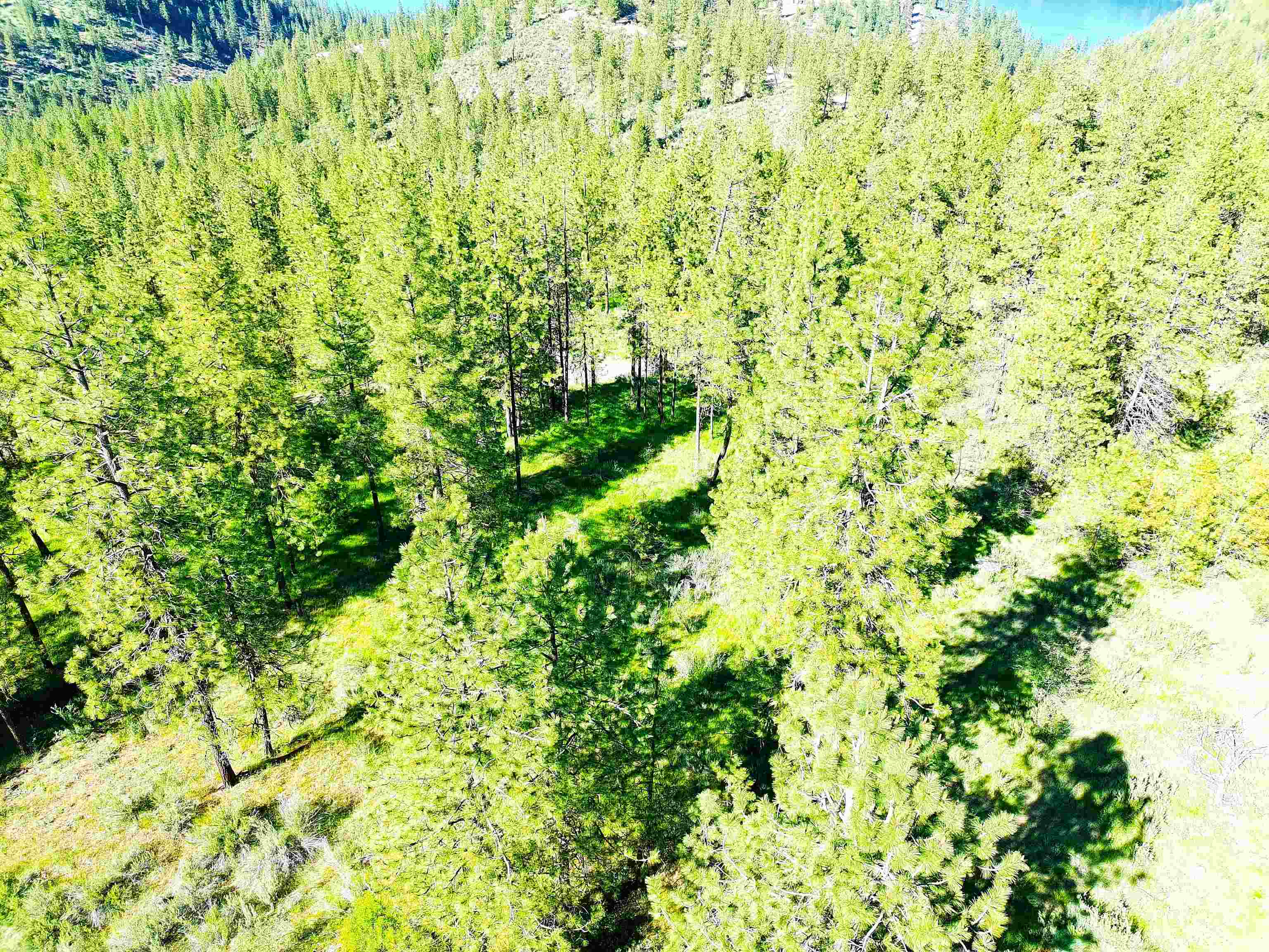 Xx00 Timber Bay Drive East, Unit XX00 TIMBER BAY DR E Davenport, WA 99122 - Photo 10 of 20