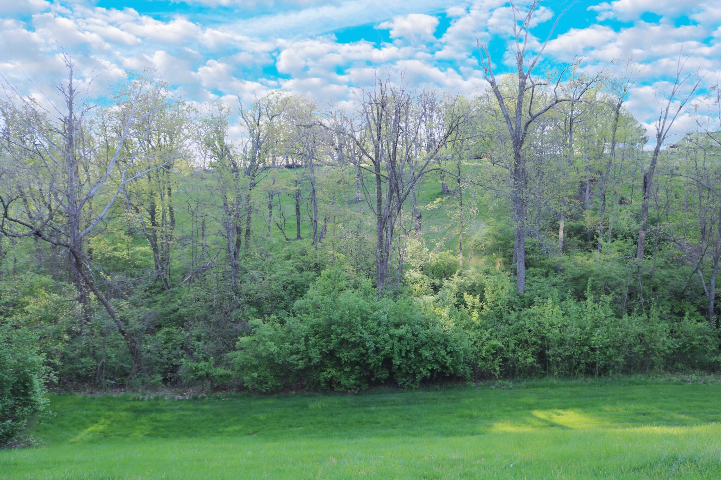339 Falling Water Court Cold Spring, KY 41076 - Photo 33 of 47 Gallery Image 33