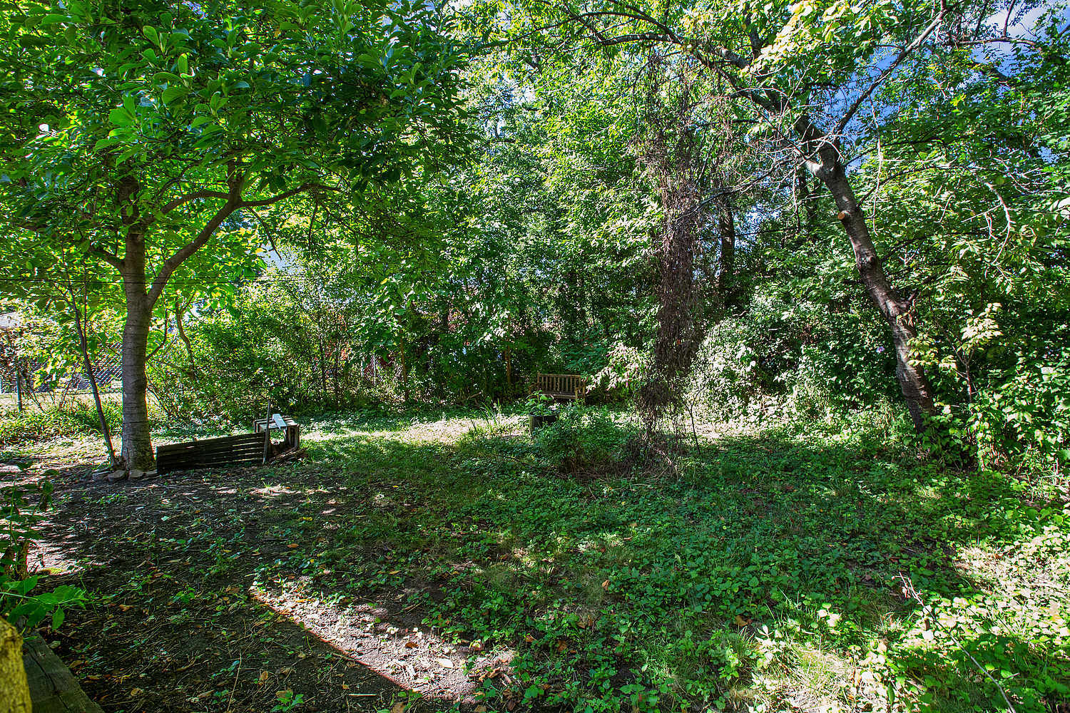 14602 Kenton Avenue Midlothian, IL 60445 - Photo 14 of 16 a view of lush green forest