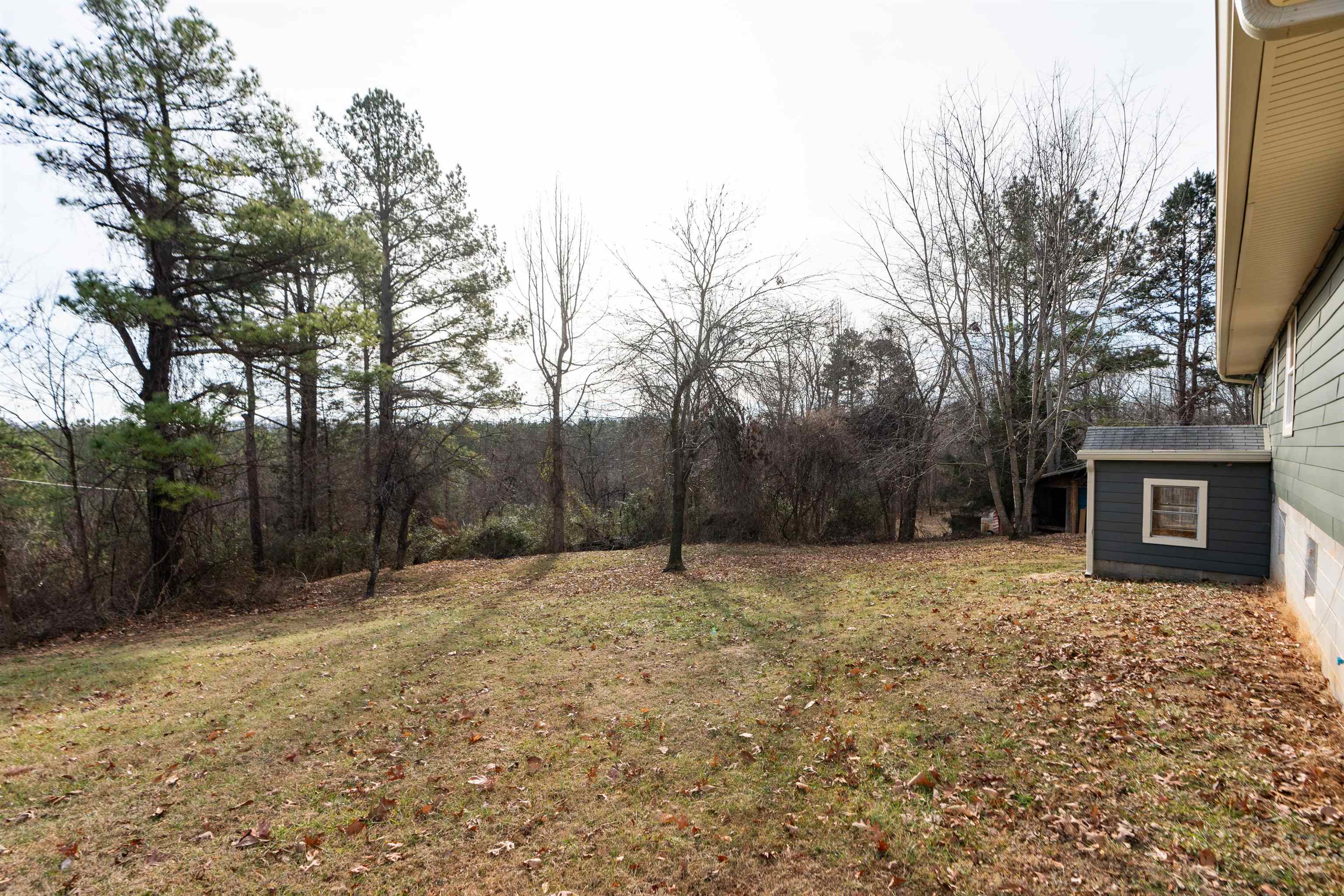 7081 Secretarys Sand Road Schuyler, VA 22969 - Photo 28 of 64