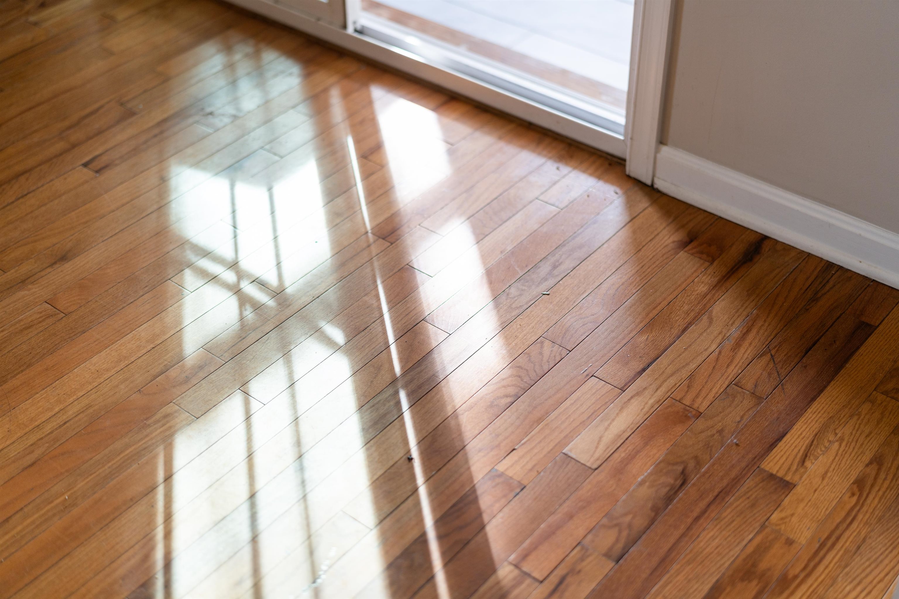 7081 Secretarys Sand Road Schuyler, VA 22969 - Photo 60 of 65