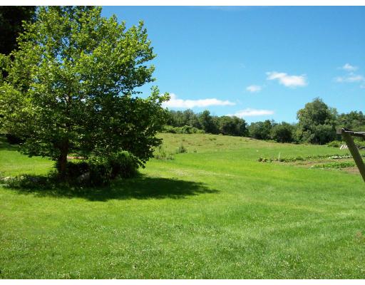 8 Charlemont Road Buckland, MA 01338 - Photo 3 of 10 a view of grassy field with trees