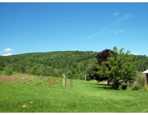 8 Charlemont Road Buckland, MA 01338 - Photo 4 of 10 a view of a grassy area with an trees
