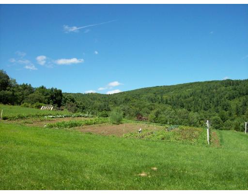 8 Charlemont Road Buckland, MA 01338 - Photo 10 of 10 a view of an outdoor space and a yard