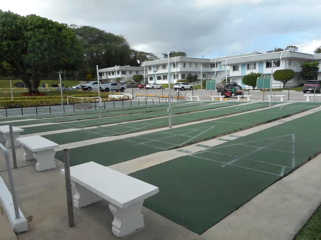 a view of a park with slide