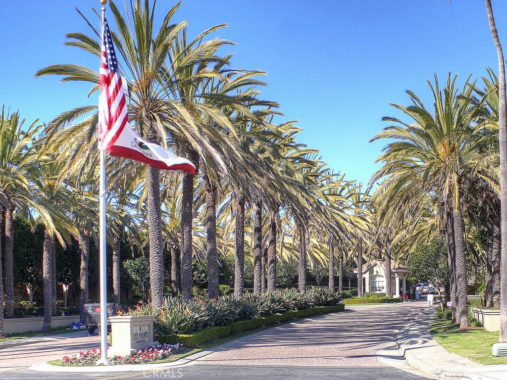 18 Corniche Drive, Unit E Dana Point, CA 92629 - Photo 36 of 38 a view of a palm trees front of a building