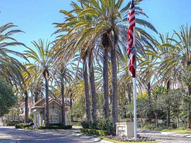 a palm tree sitting in front of a building