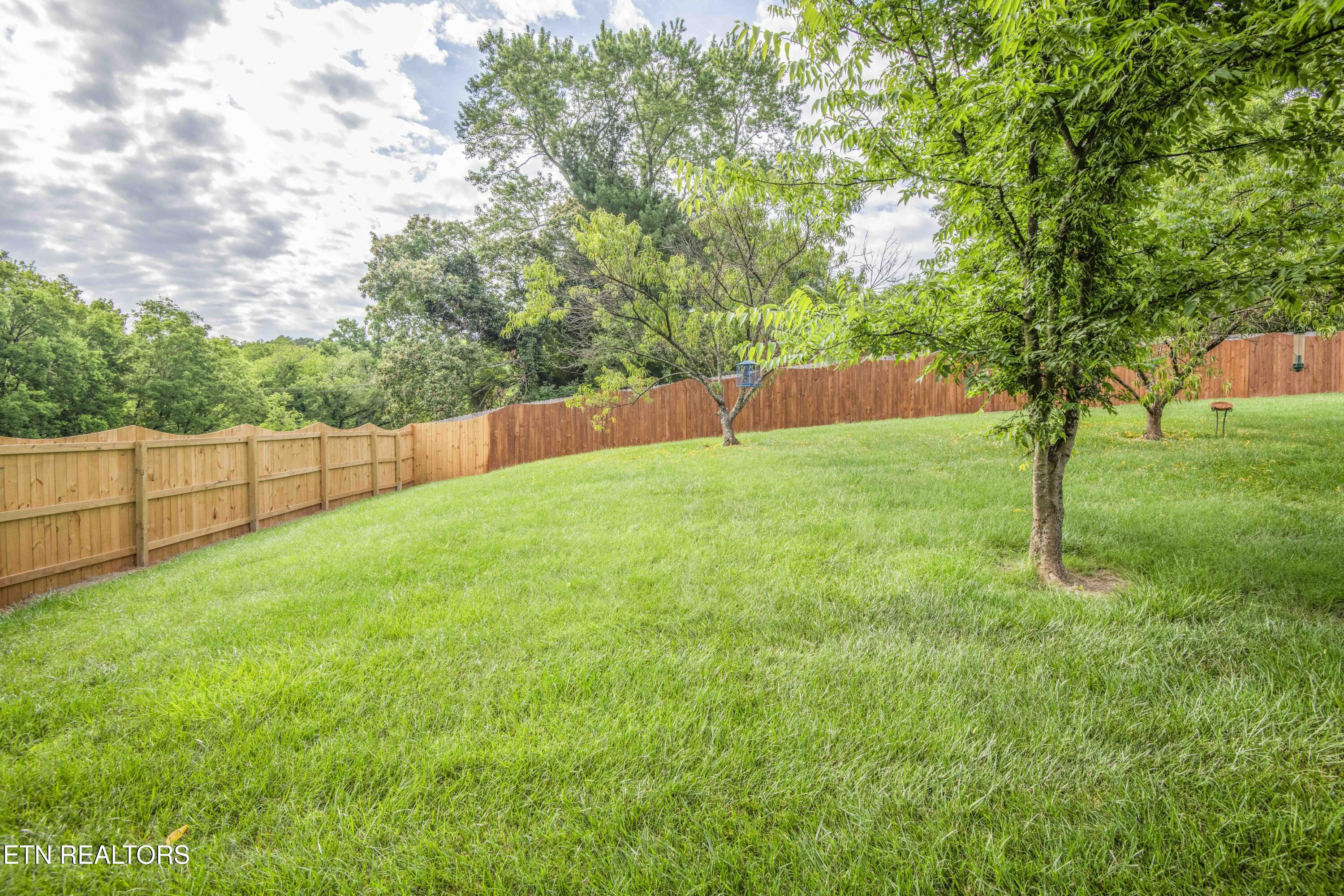 1217 Topside Road Louisville, TN 37777 - Photo 26 of 32 yard 1_1