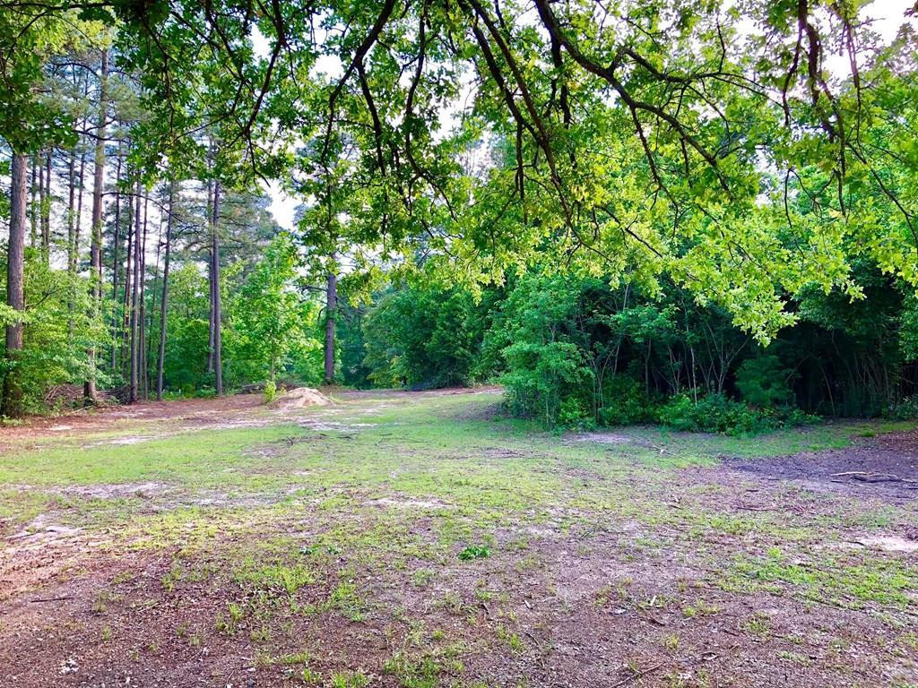 3012 Old Sudlow Lake Road North Augusta, SC 29841 - Photo 8 of 12