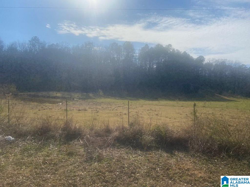 3154 Taylors Mill Road Talladega, AL 35160 - Photo 36 of 46