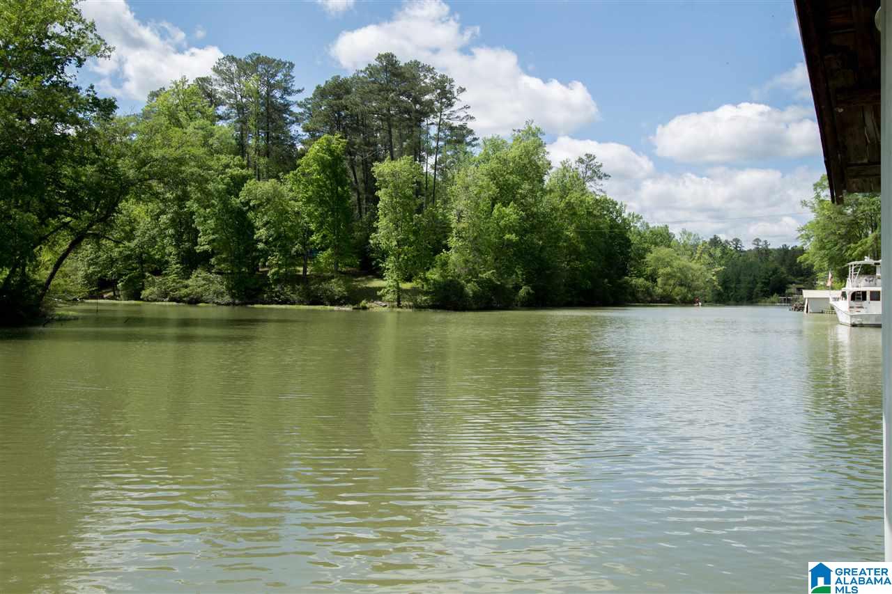 1538 Copeland Ferry Road Cordova, AL 35550 - Photo 8 of 38 Gallery Image 8