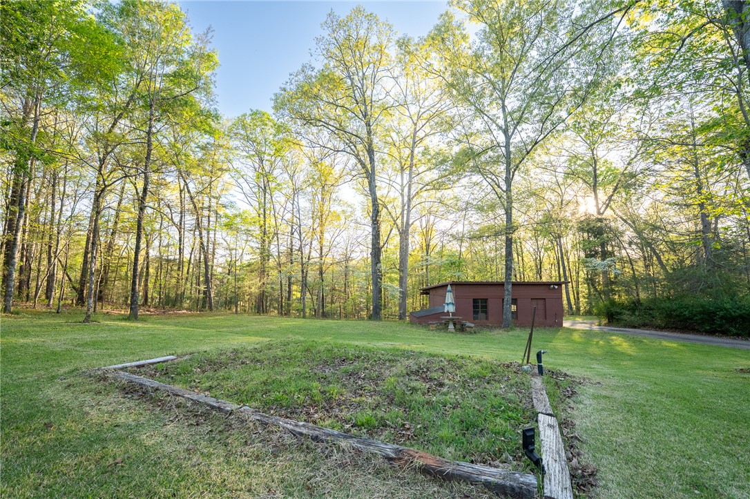 139 Todds Creek Road Central, SC 29630 - Photo 35 of 45 Expansive green yard leading to a versatile shed, framed by a serene natural landscape.