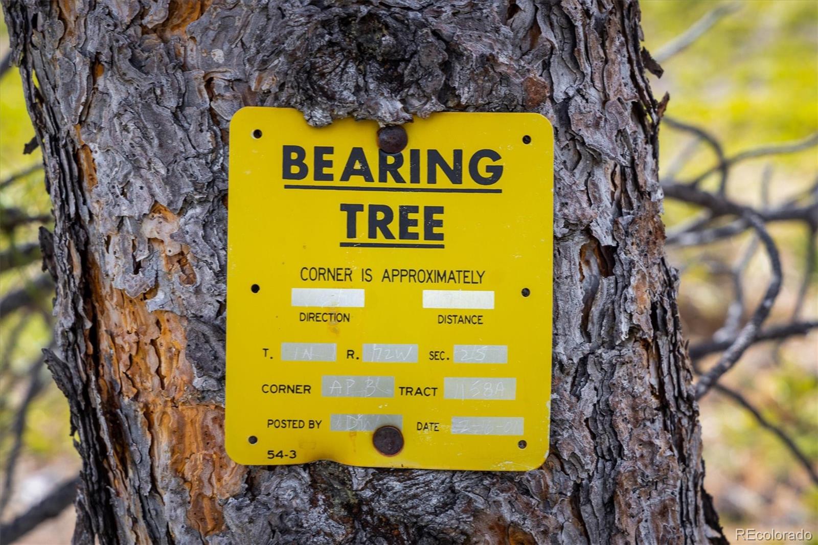 1713 Lost Angel Road Boulder, CO 80302 - Photo 23 of 23 a sign board with a tree