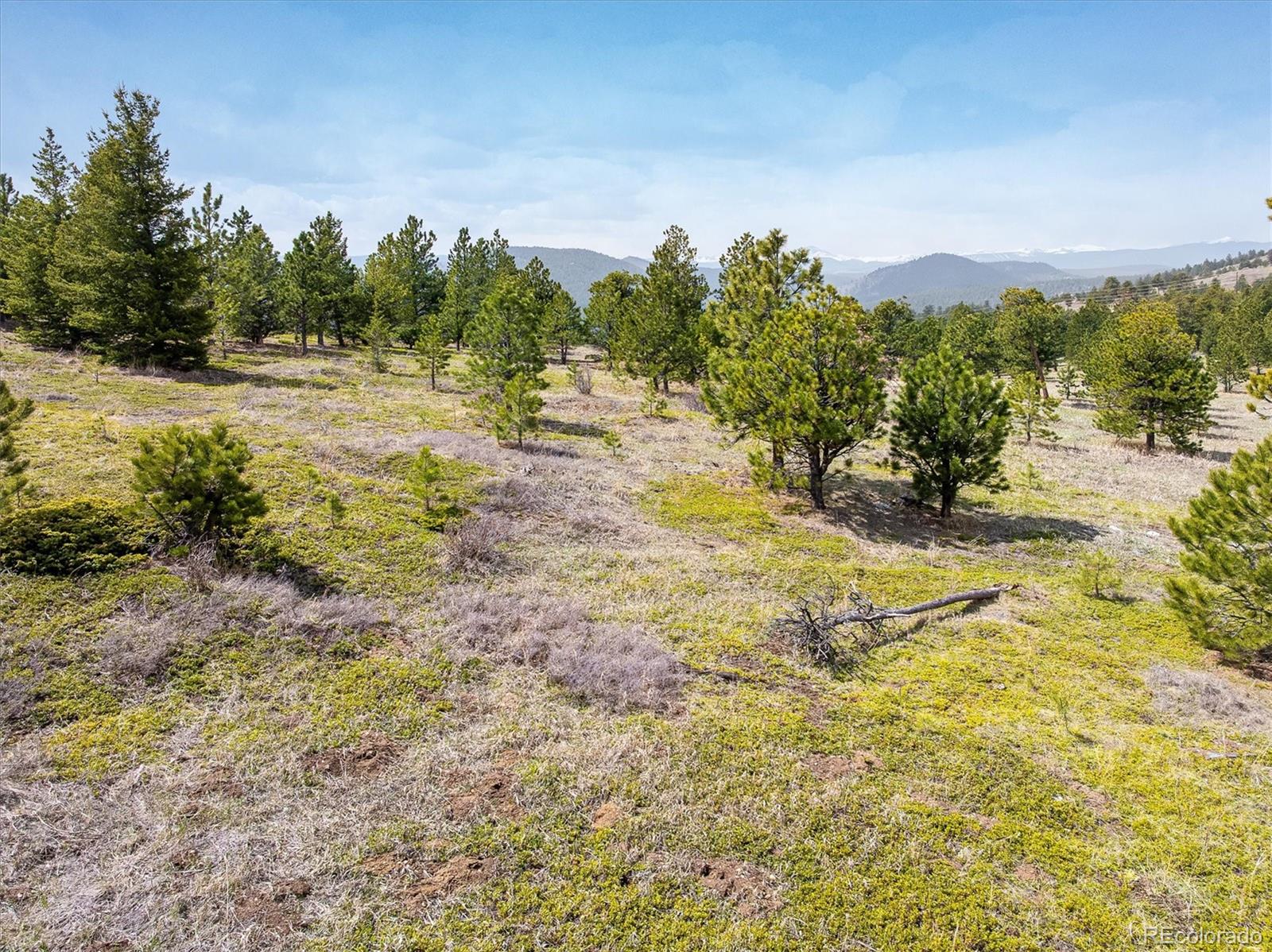 1713 Lost Angel Road Boulder, CO 80302 - Photo 9 of 23 a view of a yard with a tree