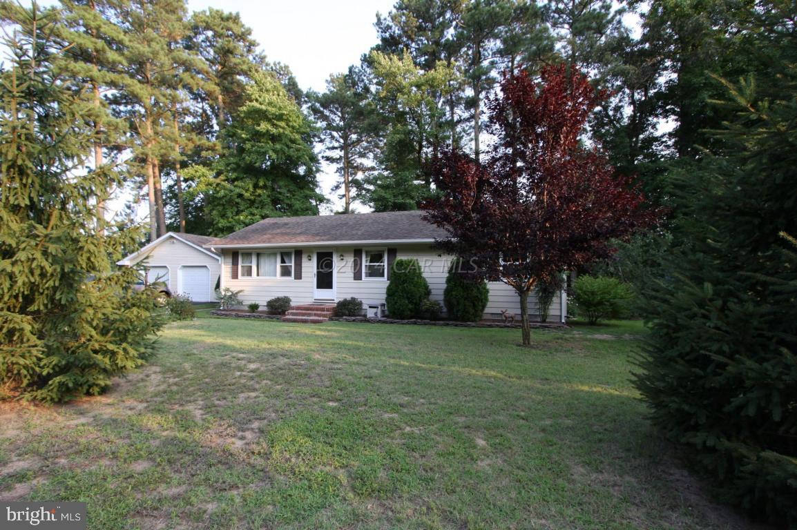 26047 Sharptown Line Road Sharptown, MD 21861 - Photo 8 of 24 Gallery Image 8