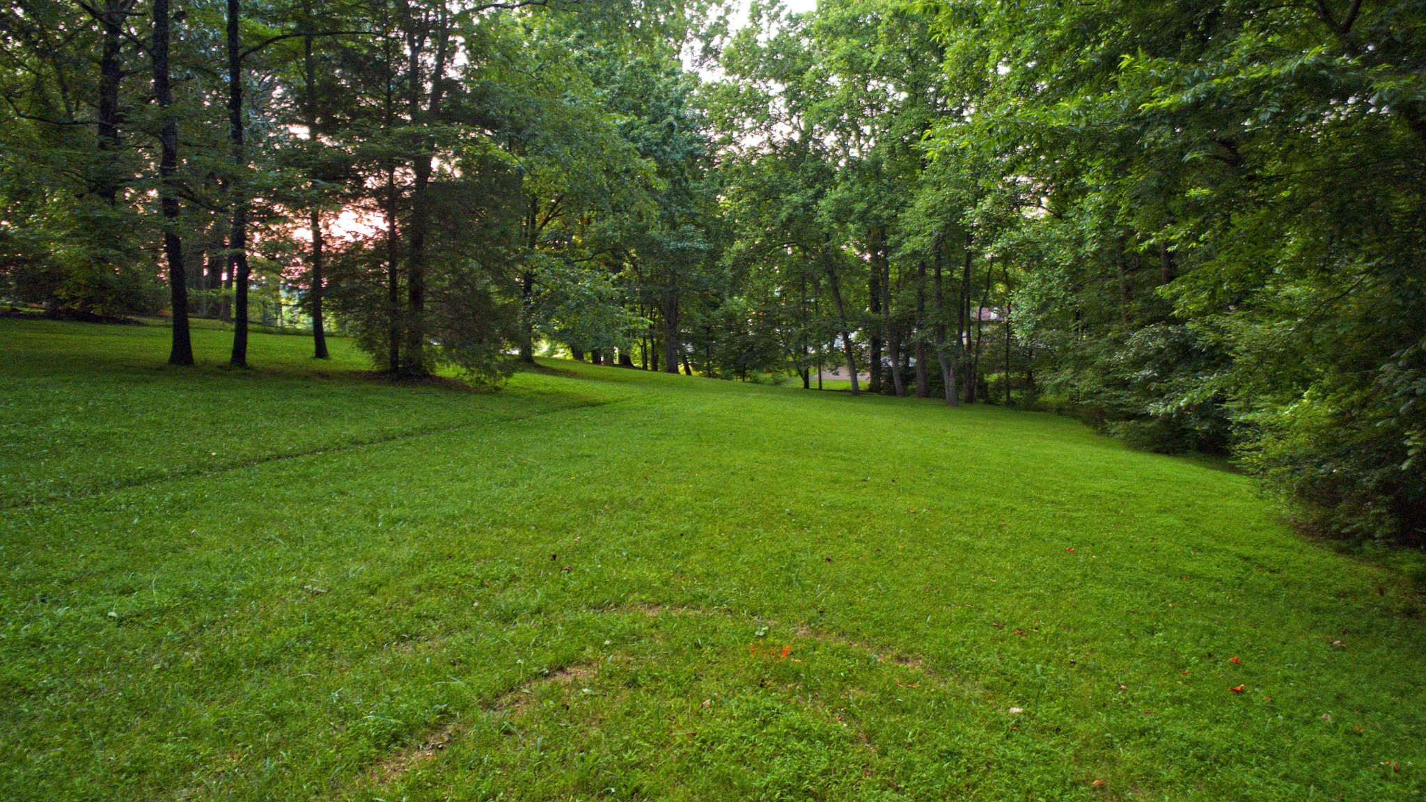 9829 Concord Road Brentwood, TN 37027 - Photo 11 of 15 a view of a trees with a yard