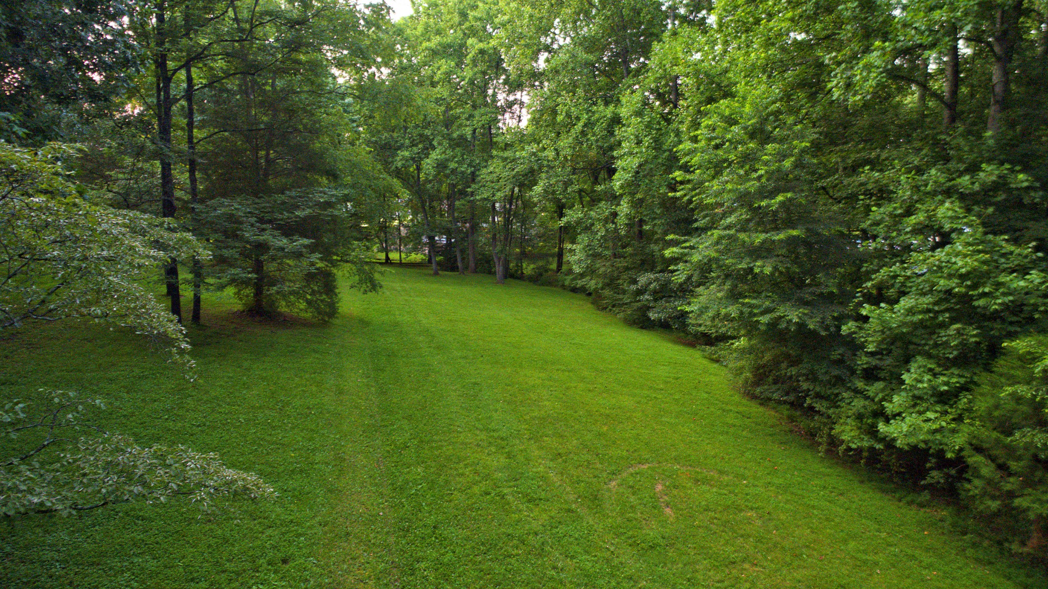 9829 Concord Road Brentwood, TN 37027 - Photo 10 of 15 a view of a green yard