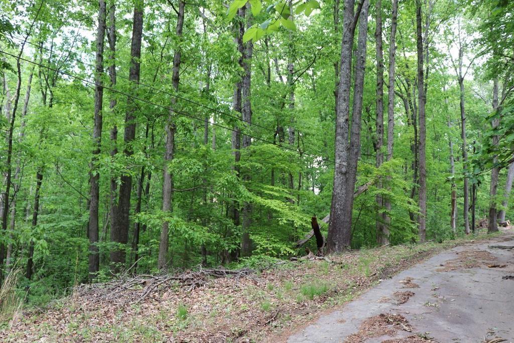 0 Jailette Road Southwest South Fulton, GA 30349 - Photo 3 of 4