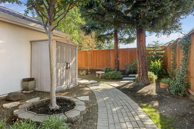 a view of a swimming pool with a yard and a large tree