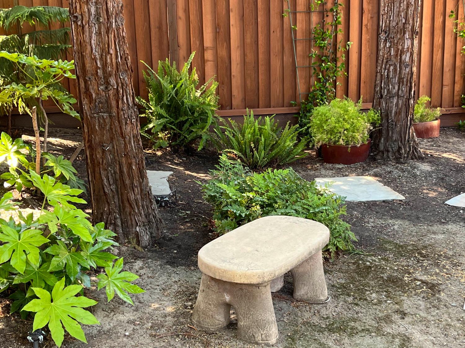2832 Remington Way Tracy, CA 95377 - Photo 54 of 67 a view of a backyard with plants and a fountain