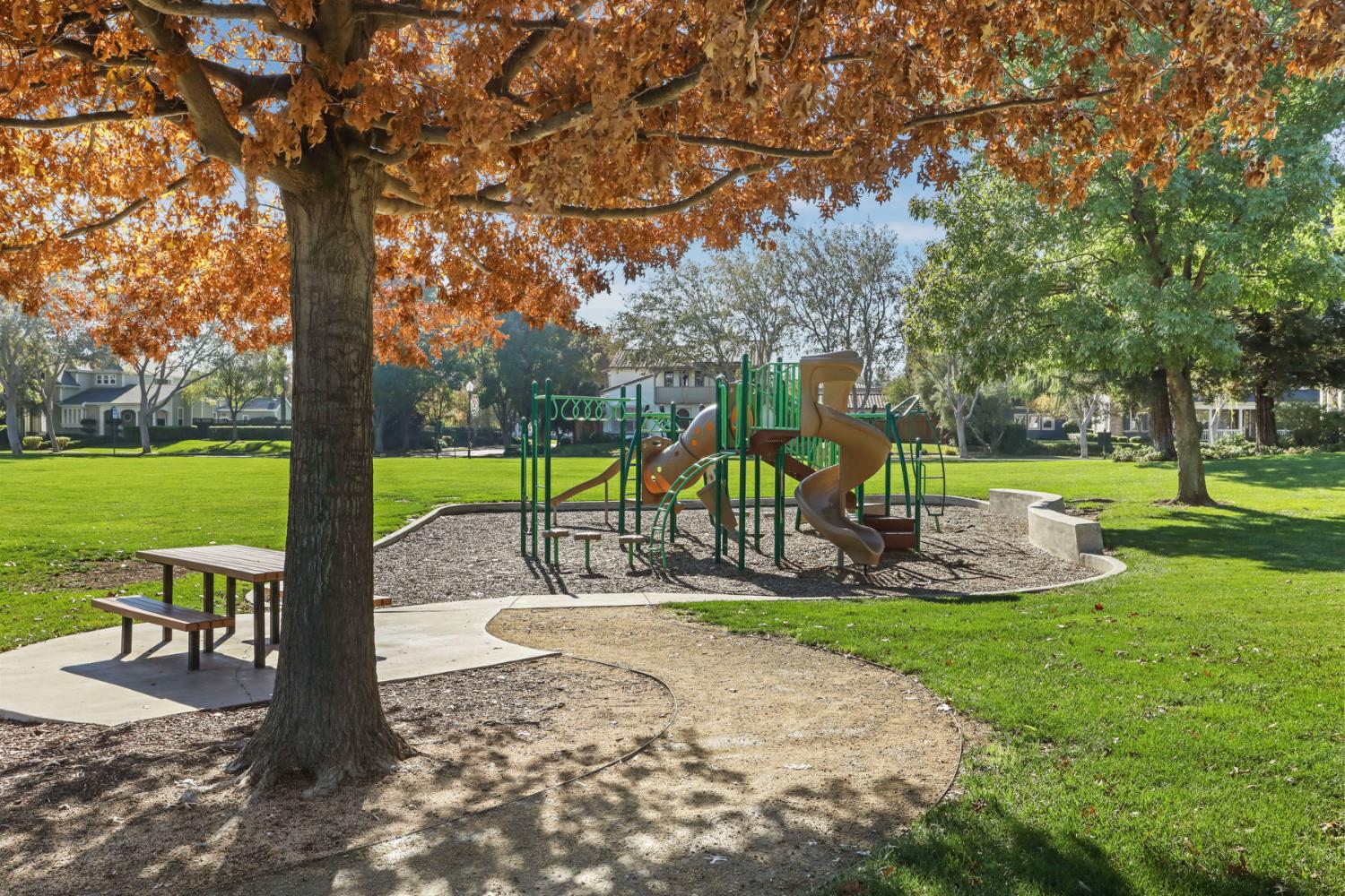 2832 Remington Way Tracy, CA 95377 - Photo 61 of 67 a view of a park with slide