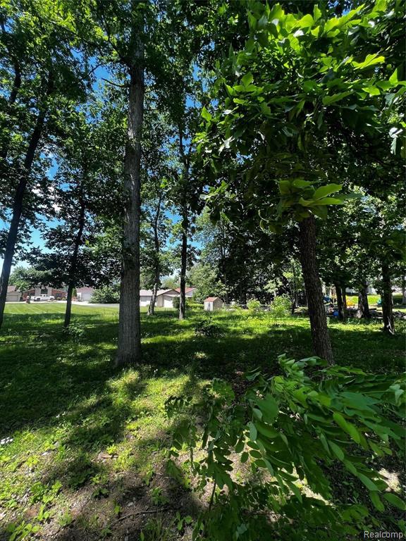 0 Edgewater Drive Brighton, MI 48116 - Photo 5 of 14