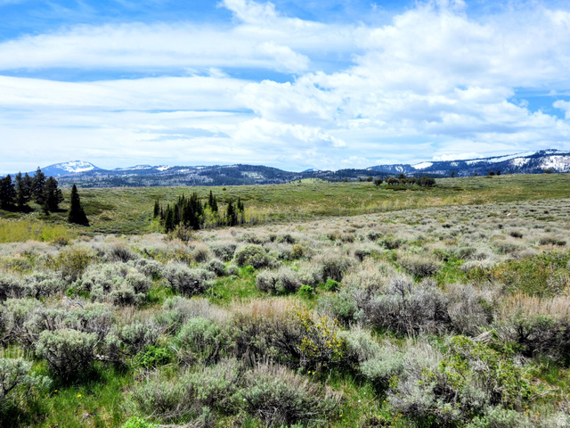 1664 Mill Canyon Road Montpelier, ID 83254 - Photo 1 of 8